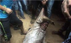 قتل شیعیان در مصر
