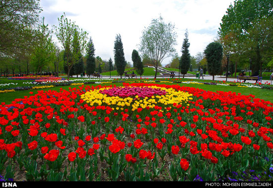 باغ گل‌های پیازی - مشهد