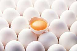 علت افزایش قیمت تخم مرغ در روزهای اخیر اعلام شد