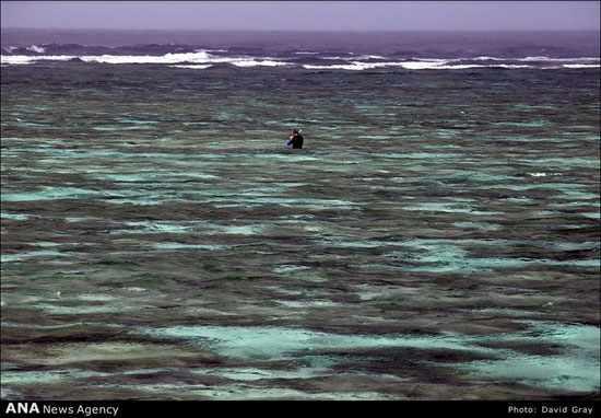 خطر نابودی سواحل مرجانی استرالیا
