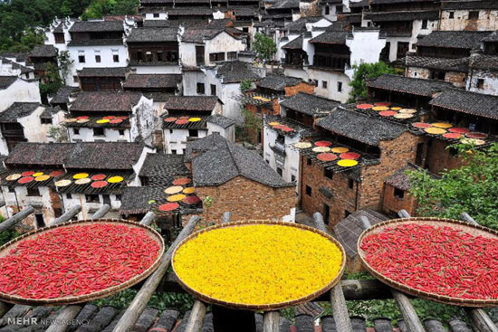 خشک کردن محصولات کشاورزی در چین