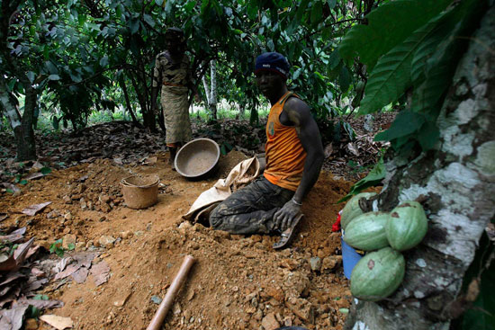 کاکائو را ول کرده اند، به معدن طلا چسبیده اند/گزارش تصویری رویترز از یابندگان طلا