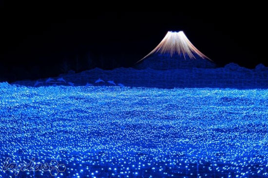 تصاویری حیرت انگیز از تونل روشنایی در ژاپن