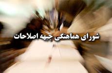 هادی خامنه‌ای,شورای هماهنگی جبهه اصلاحات,حجت‌الاسلام و المسلمین سیدهادی خامنه‌ای