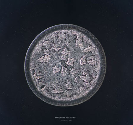 اشک, ساختار اشک,تصاویر میکروسکوپی اشک