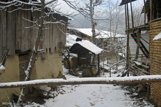 طبیعت زمستانی ارتفاعات علی آبادکتول