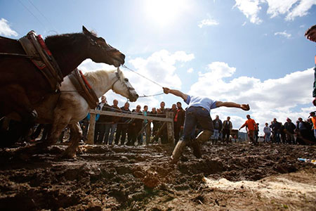 عکسهای جالب,مسابقات با اسب , تصاویر دیدنی