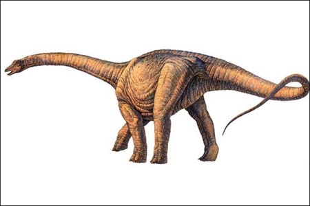 اخبار , اخبار علمی,کشف بزرگترین دایناسور زمین,تصاویری از بزرگترین دایناسور زمین