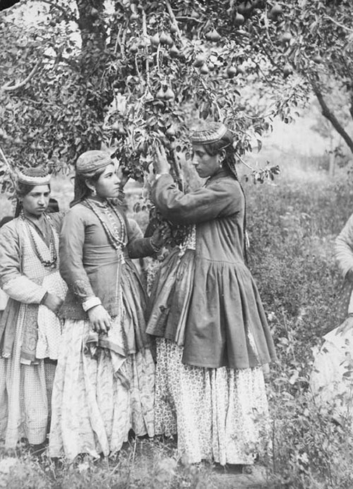 روایت تصویری از «زنان عصر قاجار» (2)