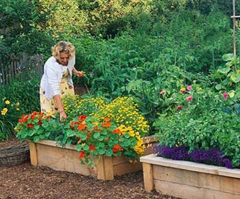 پرورش گل در خانه,کاشت گیاه در خانه,اصول باغبانی