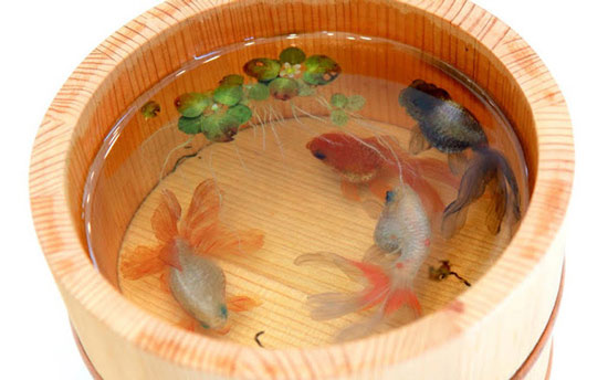 ماهی‌های واقعی یا نقاشی سه بعدی؟