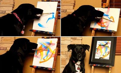 نقاشی کشیدن سگ,اخبار گوناگون