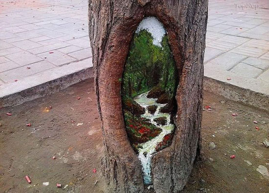 تبدیل گودی درختان به آثار هنری +عکس