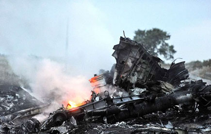 اخبار,اخباربین الملل, سقوط هواپیمای مالزیایی