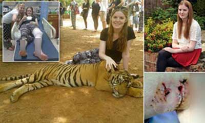  ببرهایی در معبد,حیوانات شکارچی,عاقبت وحشتناک سفر دختربه تایلند