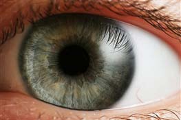 شیوع نوعی ویروس خطرناک چشمی در تهران,شیوع نوعی ویروس خطرناک چشمی درشهرستانها,بیماری ویروسی خطرناک چشمی