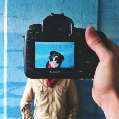 پرتره ای ترکیبی از حیوانات خانگی و صاحبانشان +عکس
