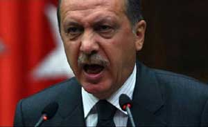 اخبار,اخبار بین الملل,تحقیقات  فساد مالی در ترکیه