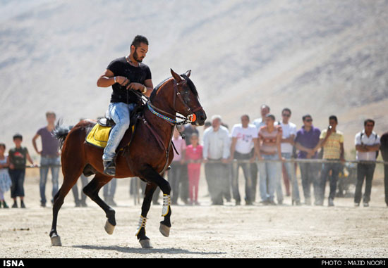 جشنواره زیبایی اسب - اراک