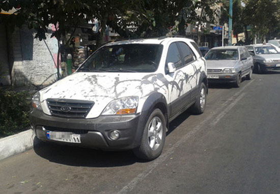 تصاویر: انتقام از خودروی لوکس در تهران!