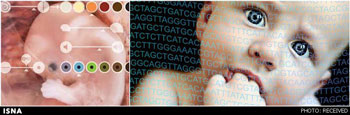  صفات ژنتیکی نوزاد,تعیین صفات ژنتیک 