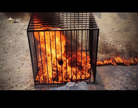 عکس: داعش خلبان اردنی را زنده سوزاند