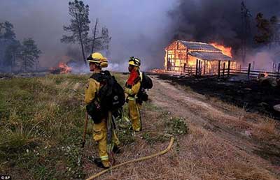 اخبار,اخبارحوادث, آتش سوزی جنگل های کالیفرنیا