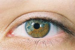 بیماری های چشم,علائم سندرم دید کامپیوتری,کور رنگی