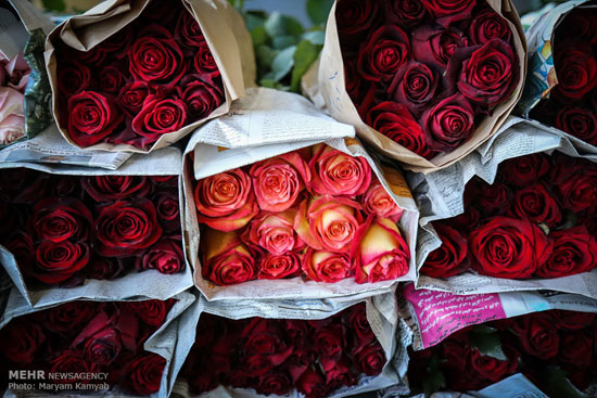 عکس: بازار گل تهران در آستانه سال نو