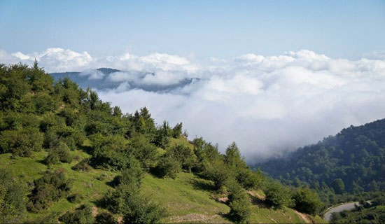 سفر به زیباترین و سبزترین ییلاقات شمال ایران؛کلبه‌هایی که تا دل ابرها بالا می‌روند!