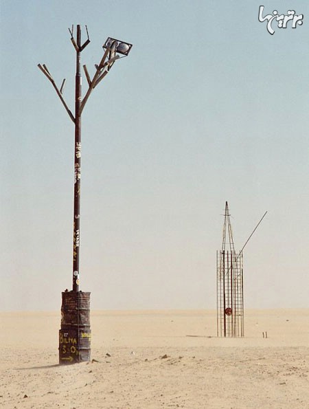 تنها ترین درخت دنیا