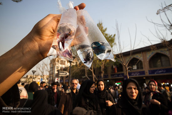 تصاویری از بازار خرید نوروزی در تهران