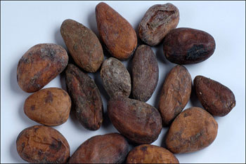 تصویر شکلات 2500 ساله, نحوه مصرف کاکائو میان انسانهای باستان