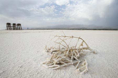 اخبار,اخبار اجتماعی ,نجات دریاچه ارومیه