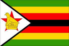 زیمباوه ؛ بازداشت 46 نفر به اتهام تماشای فیلم اعتراضات مصر و تونس
