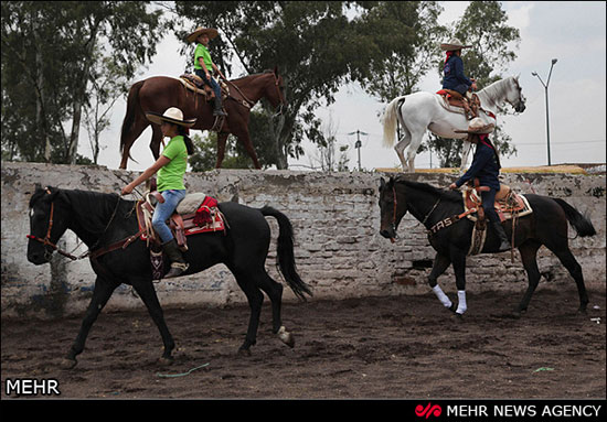 اسب در فرهنگ مکزیک