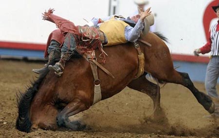 عکسهای جالب,مسابقات اسب سواری ,تصاویر دیدنی