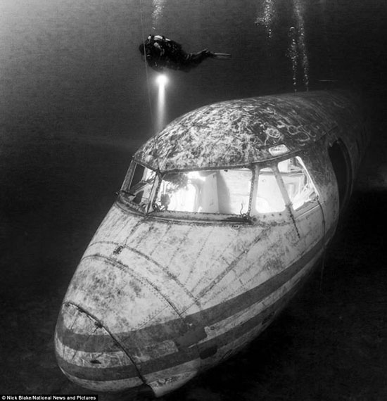 تصاویر برگزیده مسابقه عکاسی زیر آب
