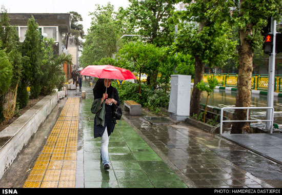تصاویری از بارش باران بهاری در تهران