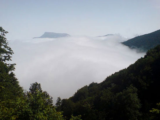 تحقق رویای راه رفتن روی ابرها در جنگل ابر