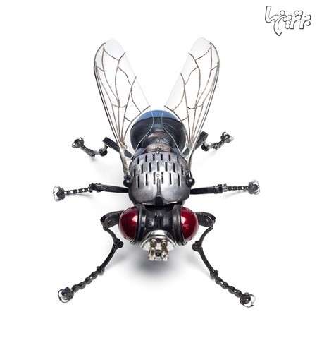 حشرات و موجودات مکانیکی حیرت انگیز!