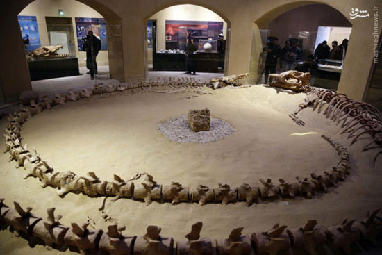 عکس/ افتتاح موزه دایناسورها در مصر