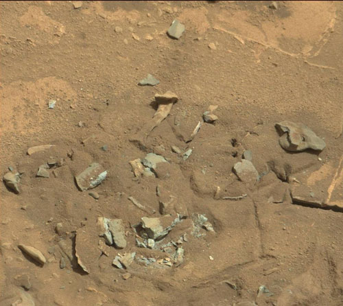استخوان‌های مریخی سنگ است+تصاویر