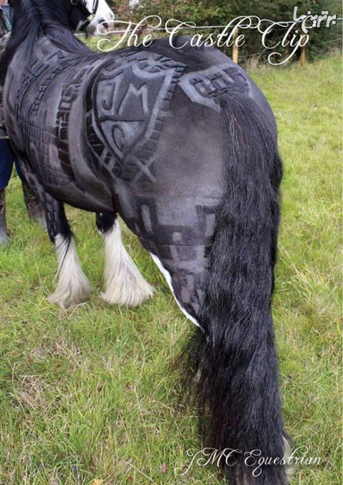 خلق اثار هنری بر روی بدن اسب ها