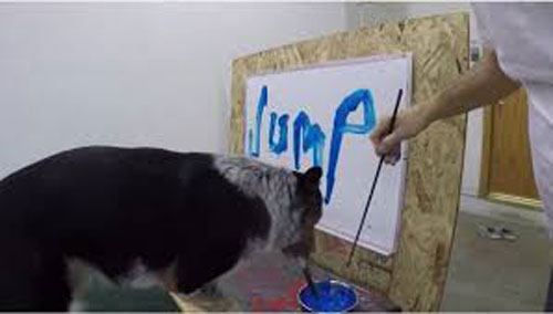 سگی که با نوشتن نامش مشهور شد
