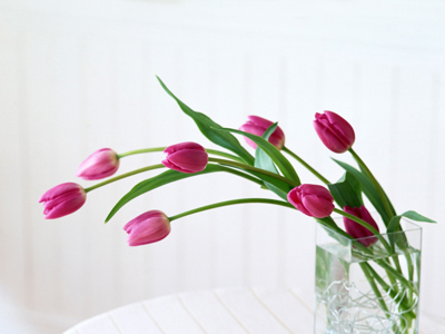 گل, 25 خرداد روز گل و گیاه,تاثیر گل بر روحیه انسان