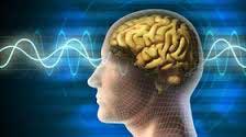 بیماری‌های مرتبط با مغز و اعصاب, عوامل گسترش بیماری‌های مرتبط با مغز و اعصاب