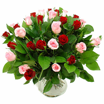 راهنمای خرید گل و گلدان, راهنمای نگهداری گلدان