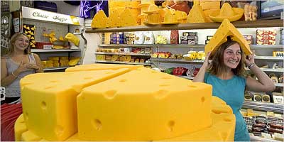 انواع پنیر و چگونگی استفاده از آنها