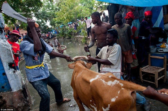 مراسم افسون در هائیتی